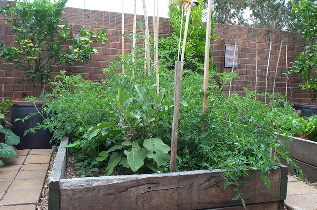 [Garden Update 011[3].jpg]