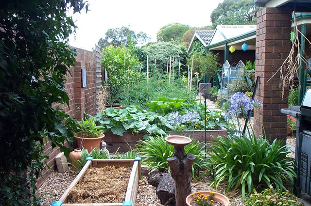 [Garden Update 020[3].jpg]