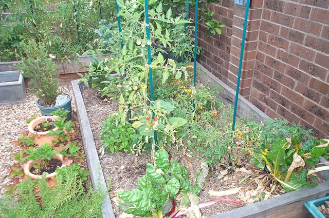 [Burnt Garden 004[3].jpg]