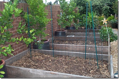 Autumn Garden 007