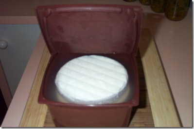 Better Feta 004