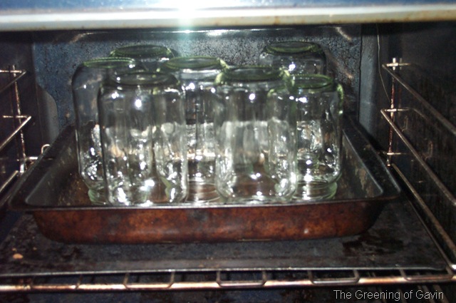 [PickledOnions0033.jpg]