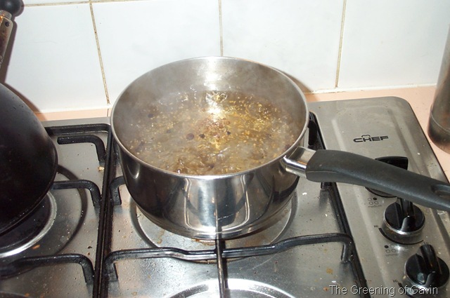 [PickledOnions0023.jpg]