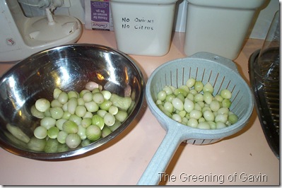 Pickled Onions 001