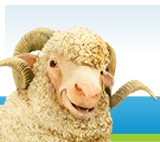 [rams home loans[2].jpg]