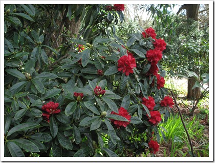 IMG_0752 IMG_0752
