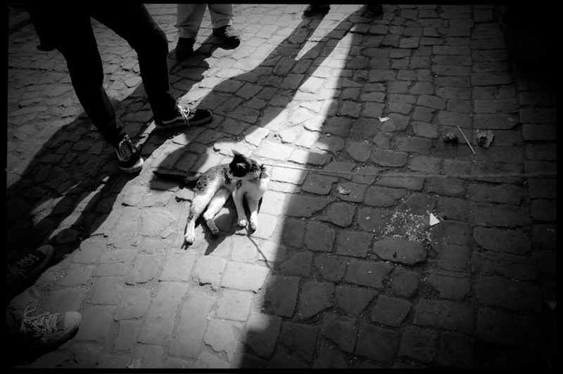 100_6586-Edit