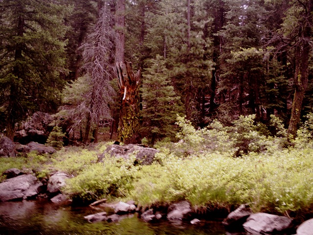 [Picture 005[2].jpg]