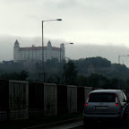 IMG_4217.JPG
