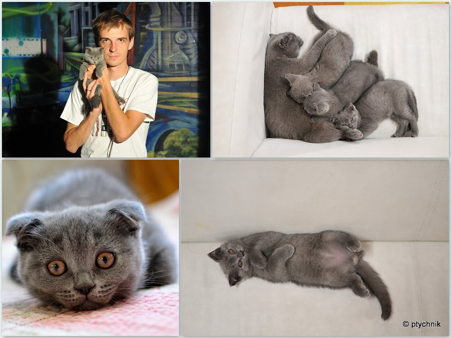 ПУШИСТЫЙ МИР 