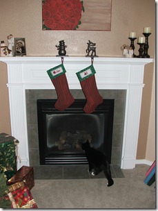 picture 003