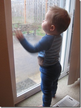 2011-03-23 028