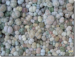 Lithops2 Lithops2