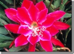 clip_image015