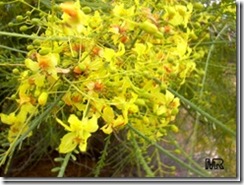 clip_image029