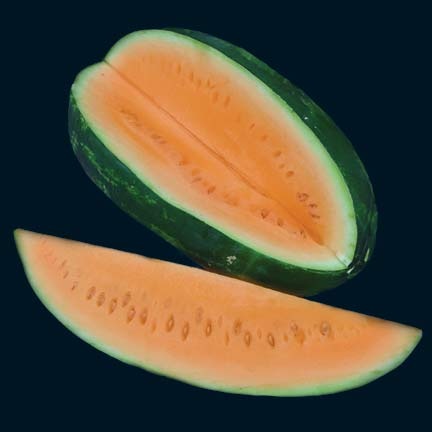 [Watermelon Tender Sweet1[2].jpg]