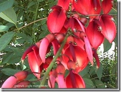clip_image074