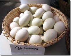 egg-gourds