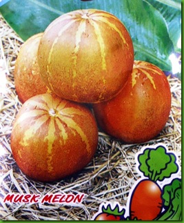 Musk Melon Thai