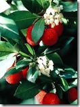 clip_image010