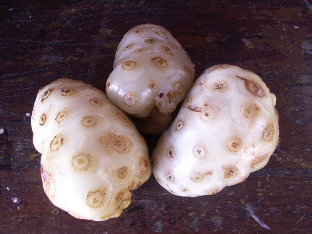 [NonifromBrazil3.jpg]