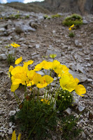 IMG_6039.jpg