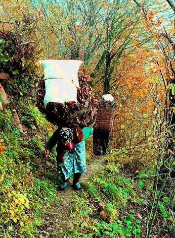 [Karadeniz-0446[5].jpg]