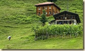 Karadeniz-0464 Karadeniz-0464