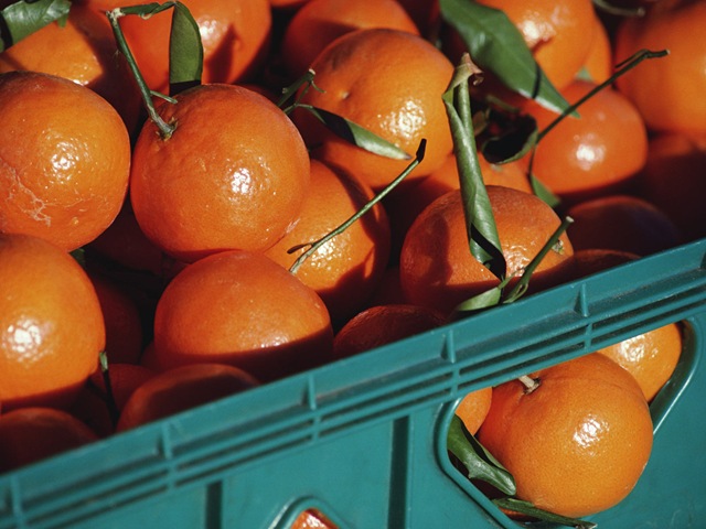 [A_crop_of_oranges[6].jpg]
