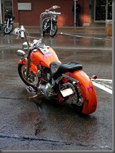 Orange_Rush_by_colts4us Orange_Rush_by_colts4us