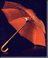 orange_by_treesuh orange_by_treesuh