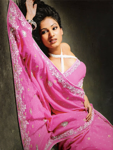 Designer Sari