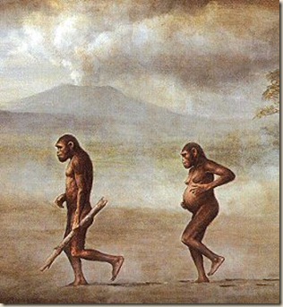 Australopithecus_afarensis