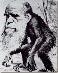 Darwin_ape