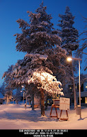 DSC_3558.jpg Photo