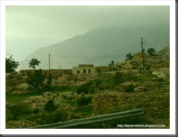 ت15 ت15