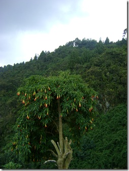cerro de Monserrate cerro de Monserrate