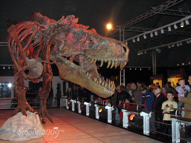 [IMG_0021 copy[4].jpg]