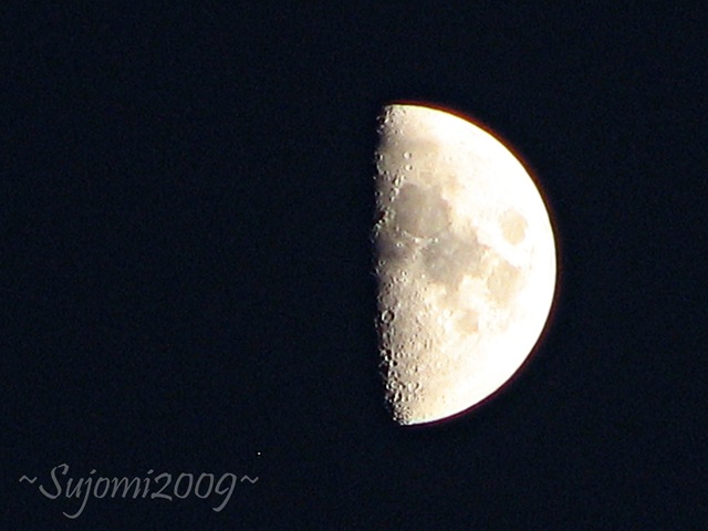 [2009 06 29 IMG_6870[5].jpg]