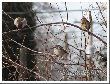 IMG_5105 IMG_5105