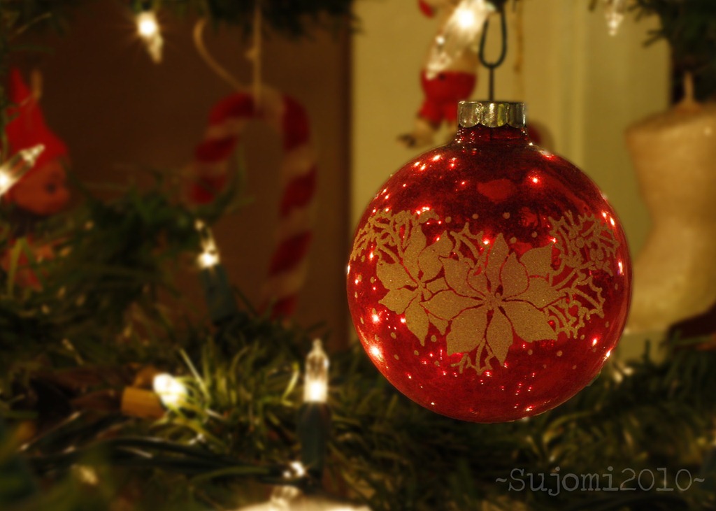 [2010 12 19 _MG_6525w[5].jpg]