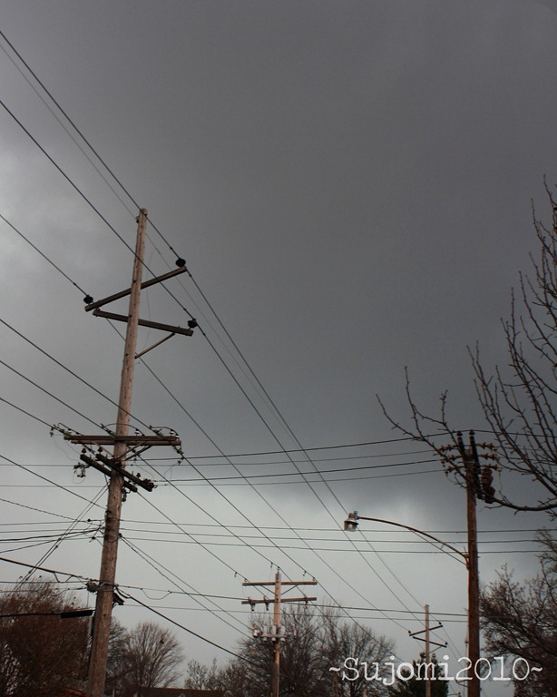 [2010 12 31 IMG_6949W[5].jpg]