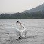 Llangorse Lake- 240410- 0128.jpg