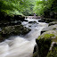Porth Yr Ogof- 250709- 0218