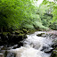 Porth Yr Ogof- 250709- 0327