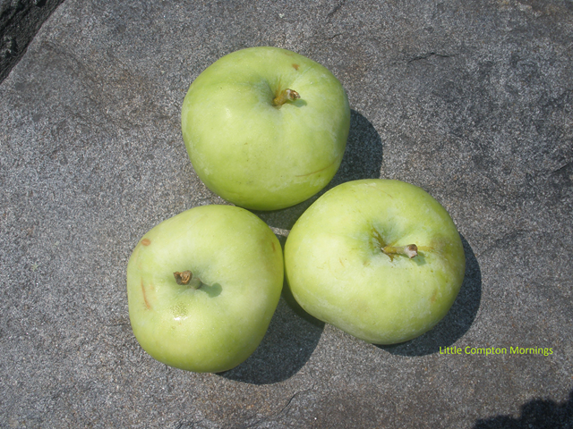 [Country apple cake apples[8].png]