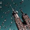 Kraków, Rynek. Główna atrakcja krakowskiego rynku - gołębie. A z tyłu... to chyba jakiś dom.