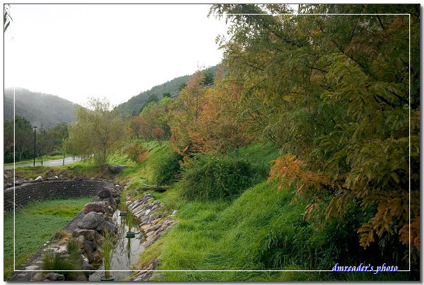http://lh3.ggpht.com/_oHZKS5XSNYs/SWavzWPzKnI/AAAAAAAAGnQ/UNgJggBZW6M/s800/CRW_6883.jpg