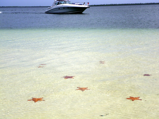 court circuit starfish federal appeals map of