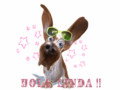 hola